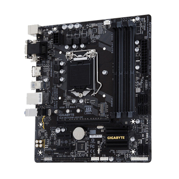 GIGABYTE - GIGABYTE GA-B250M-DS3H INTEL B250 LGA 1151 MICRO ATX (GA-B250M-DS3H)